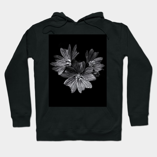 Backyard Flowers In Black And White 11 After The Storm Hoodie by learningcurveca